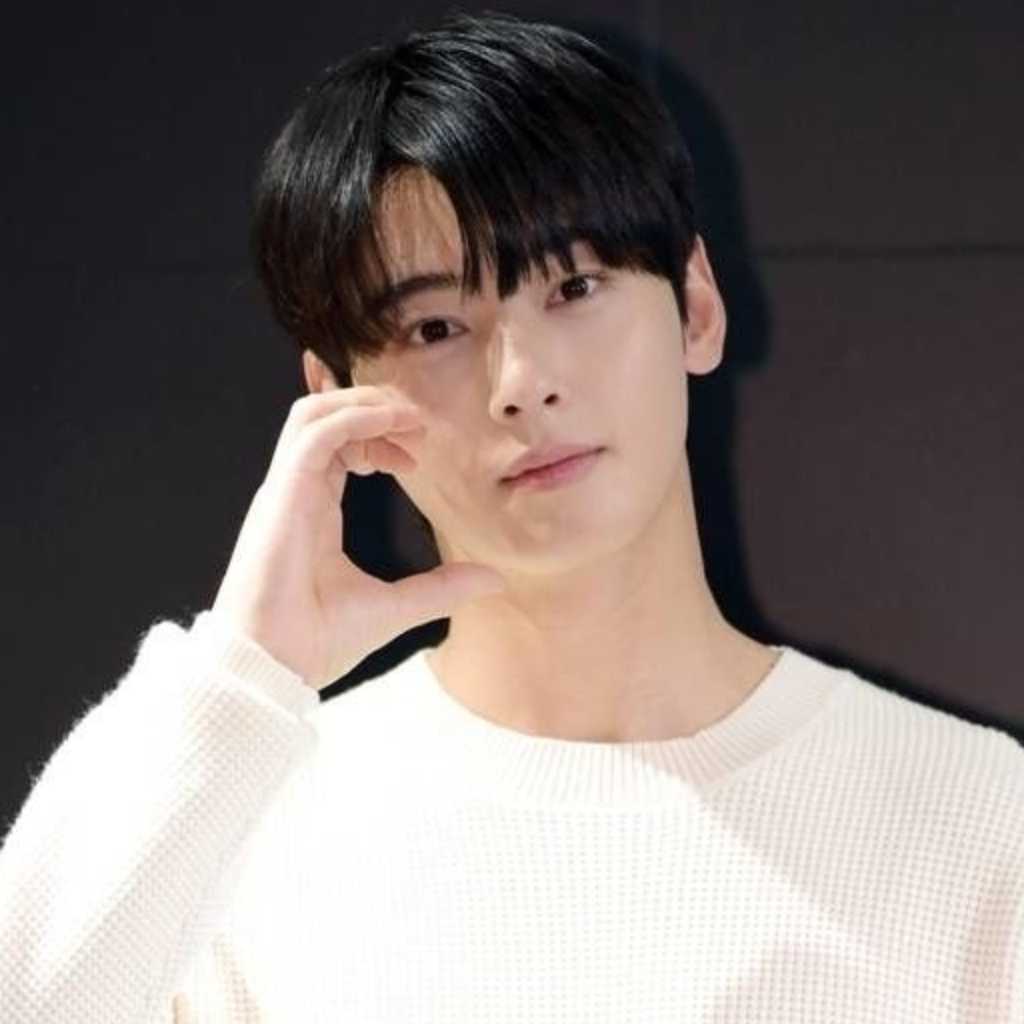 ASTRO チャウヌ、追徴金を全額納付も…軍楽隊での服務に再検討を求める声