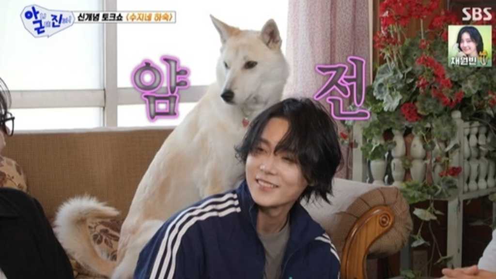 DAWN、咳をしすぎて肋骨にヒビ「2ヶ月間止まらなかった」