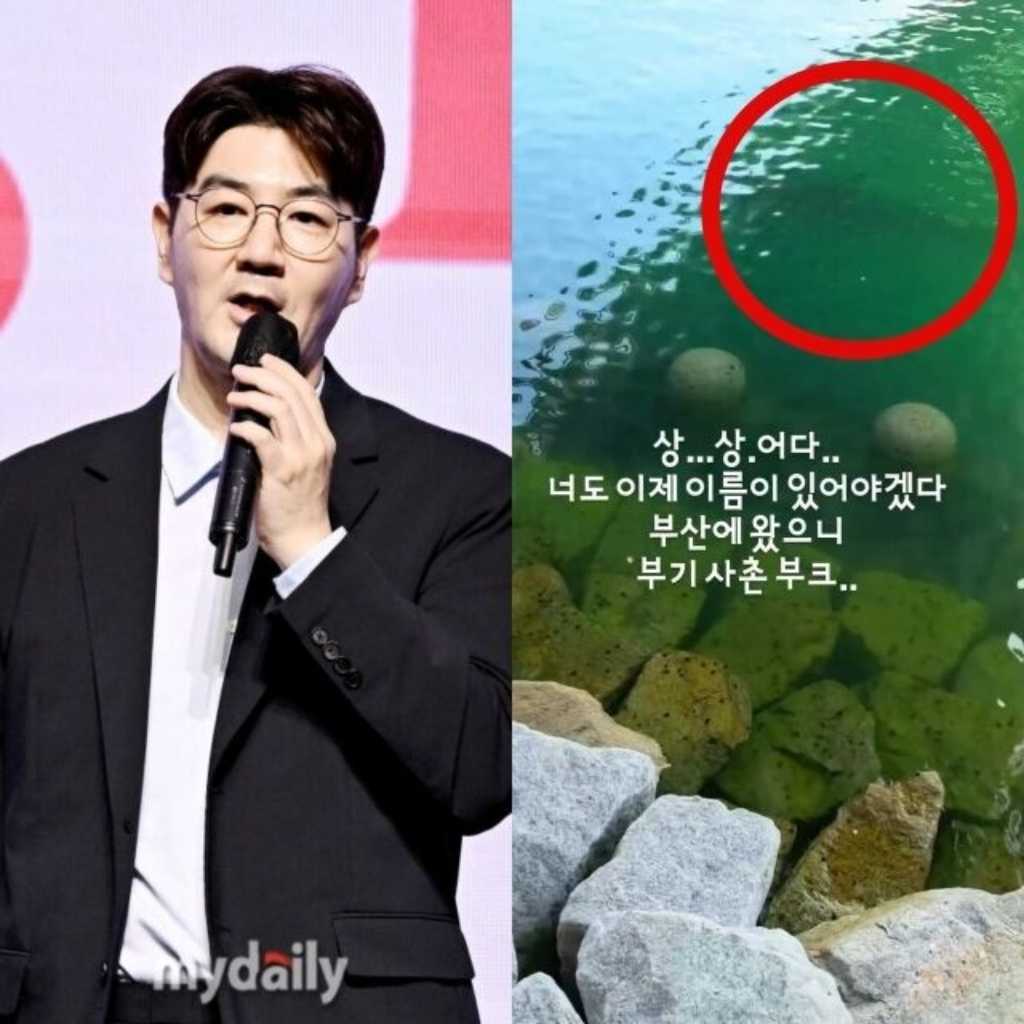 釜山の親水公園に全長3メートル超のサメが出没…俳優ハン・サンジンが注意呼びかけ