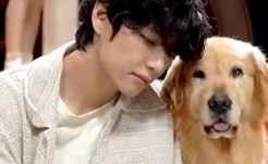 Bts 防弾少年団 のv 猫もメロメロ 格別な動物愛が話題に バラエティで見せる抜群の相性に絶賛の声 Kstyle