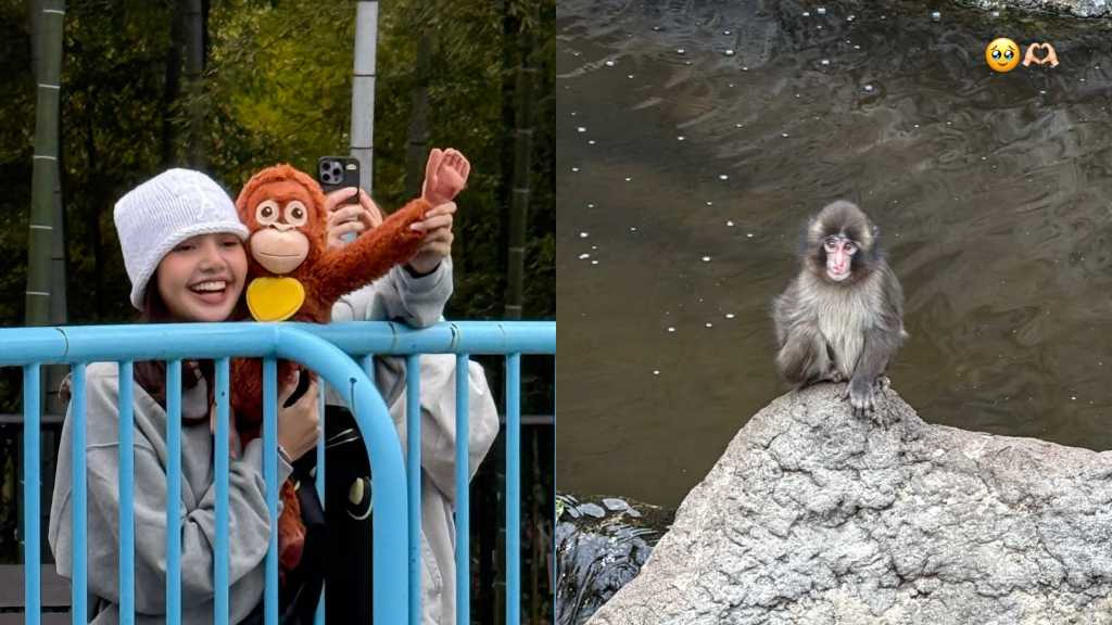 BLACKPINK's Lisa met Punch-kun, a popular baby monkey, at a zoo in Chiba. Fans reacted excitedly to their unexpected encounter.