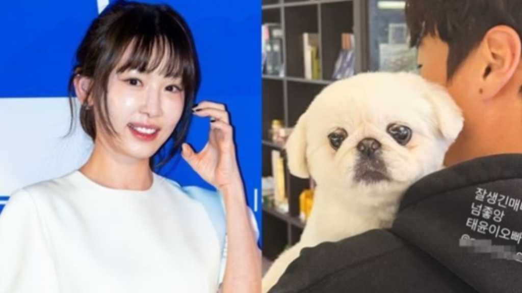Actress Kang Ye-won shares her dog Julie's cute moments at the agency, while waiting for ASTRO's Cha Eun-woo to return from military service.