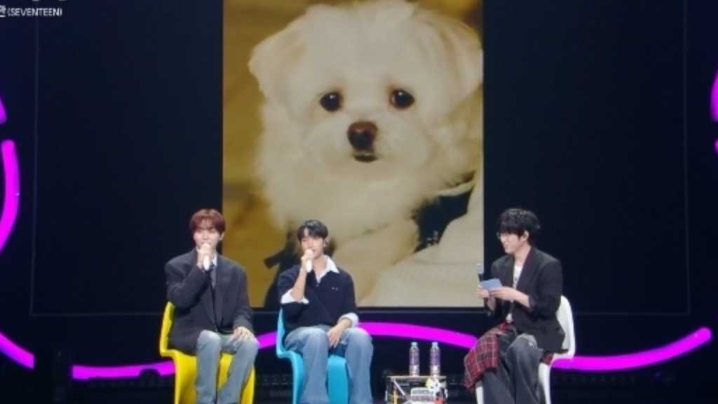 Sungkwan from SEVENTEEN shares how his dog Puku helped him land a photoshoot, showcasing Puku's talent during a variety show.