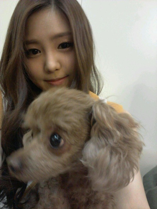 Apink ソン ナウンと子犬はどっちが可愛い Kstyle