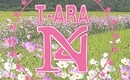 T-ARA N4「田園日記」のMVを「江南スタイル」のチョ・スヒョン監督が演出