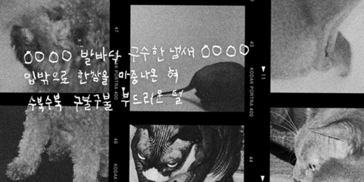 Dynamic Duoのchoiza 新曲 Family 歌詞の一部を先行公開 Kstyle