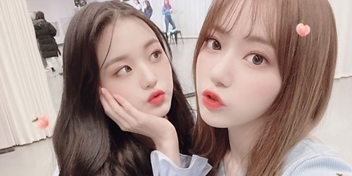 本田仁美 IZ*ONE 公式生写真 95枚 まとめ売り