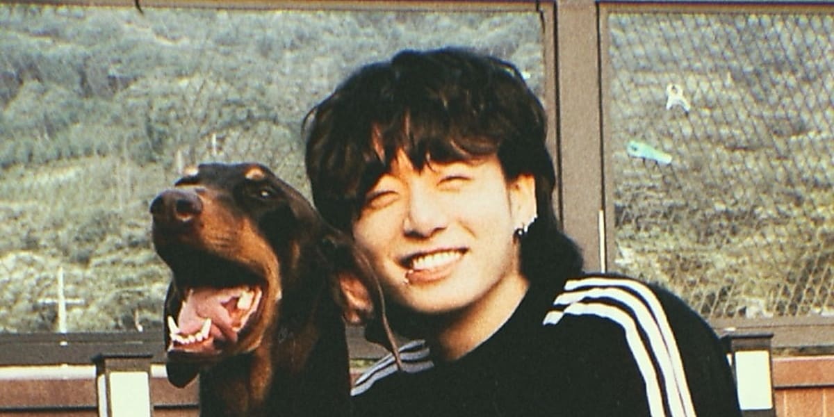 BTS's Jungkook opens Instagram for dog Bam during military service, gaining explosive popularity with 3.15 million followers.