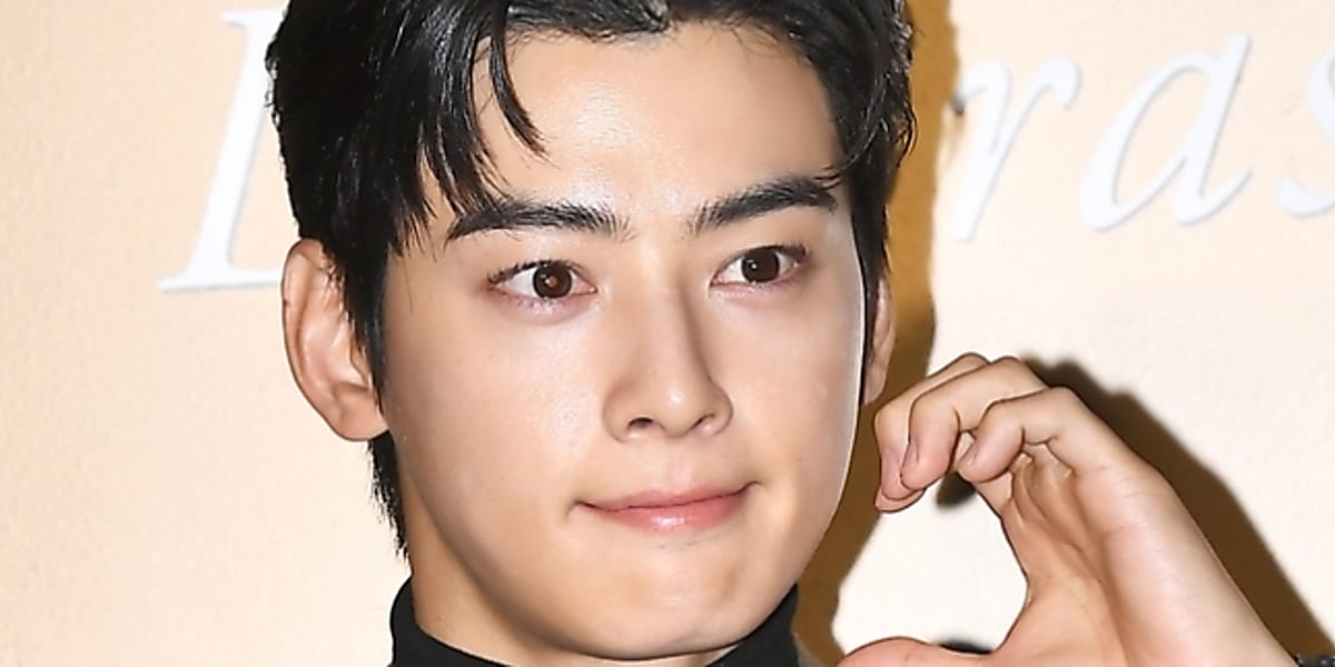 チャウヌ　ムンビンブランケット ASTRO ASTRO astro アストロ チャウヌ ウヌ ブランケット 女神降臨 ピンク